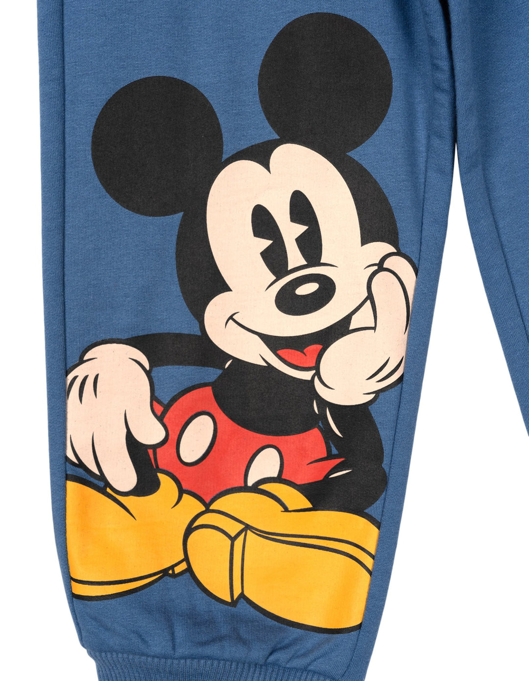Disney Mickey Mouse & Friends Boys' Fleece Jogger Pants 2-Pack Blue Tan