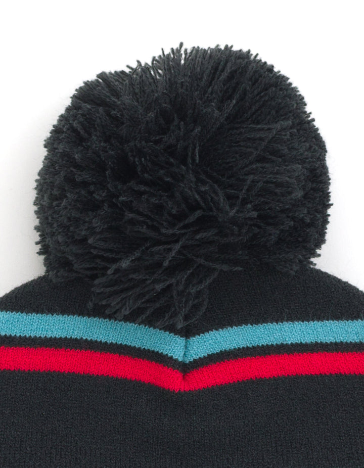 Godzilla Matching Family Pom Pom Beanie Winter Hat Beanie Hat Black Teal