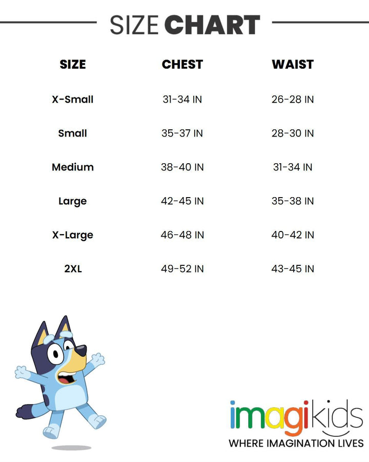 Bluey Men's Short Sleeve Raglan Graphic T-Shirt Heather Grey Navy