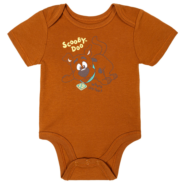 Warner Bros. Scooby-Doo Scooby Doo Baby Boys' Cosplay Bodysuit and Hat Set Brown