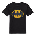 DC Comics Justice League Batman Women's Cosplay T-Shirt Slate Grey