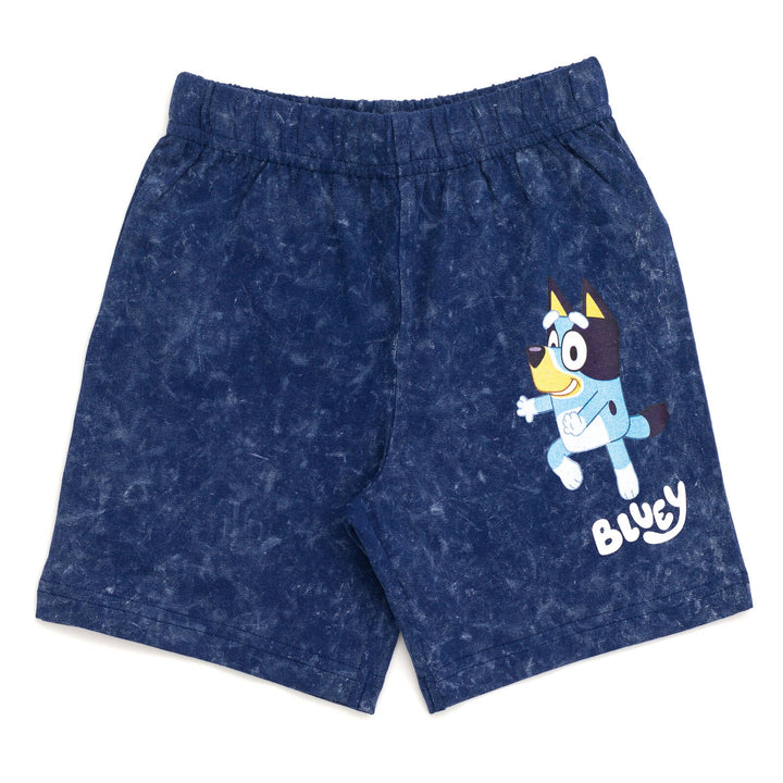 Bluey Vintage Wash Drop Shoulder T-Shirt and Shorts Outfit Set - imagikids
