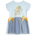 Disney Cinderella Princess Cinderella Girls' Tutu Dress Blue