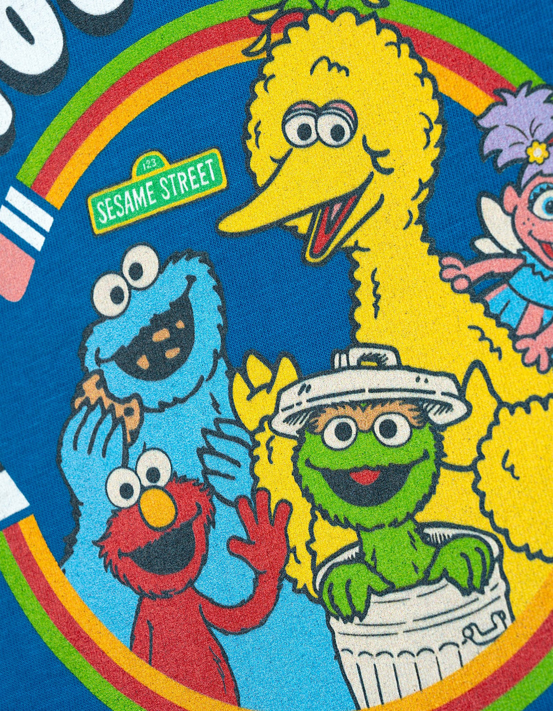 Sesame Street Boys' Special Day T-Shirt 100 Days Blue