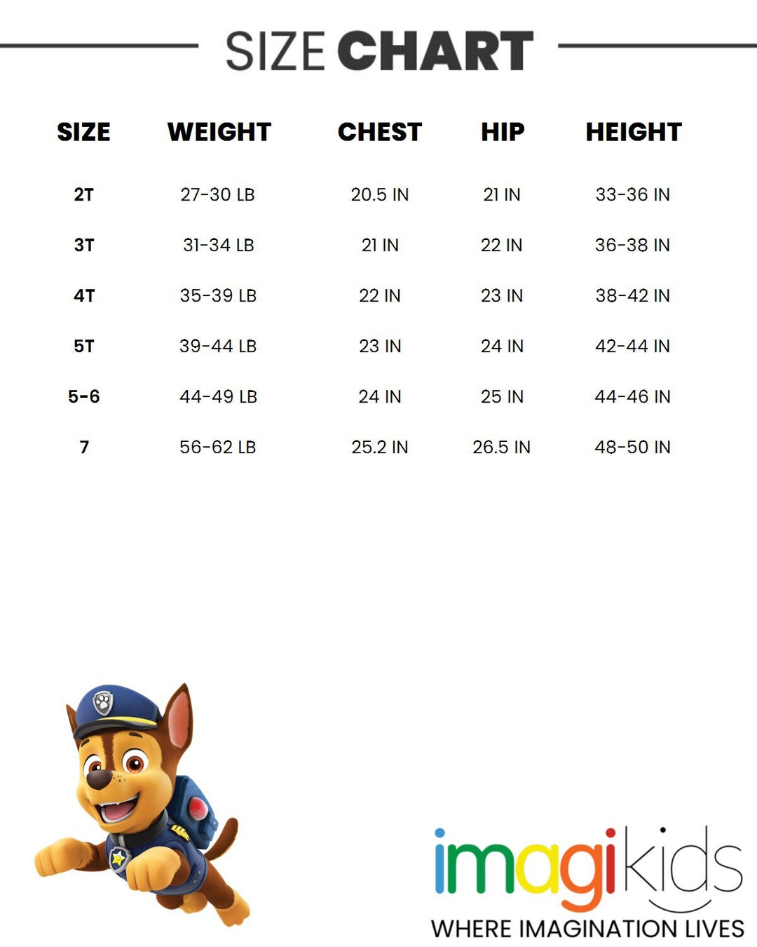 Paw Patrol Pullover T-Shirt and Mesh Shorts Outfit Set