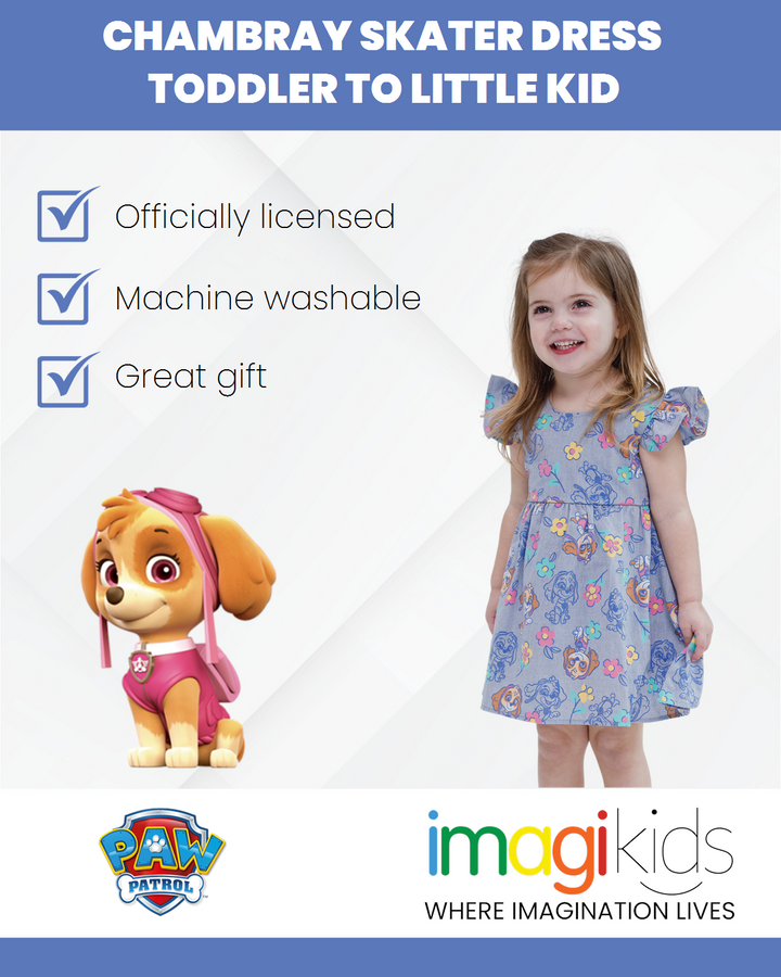 Paw Patrol Skye Sleeveless Chambray Dress