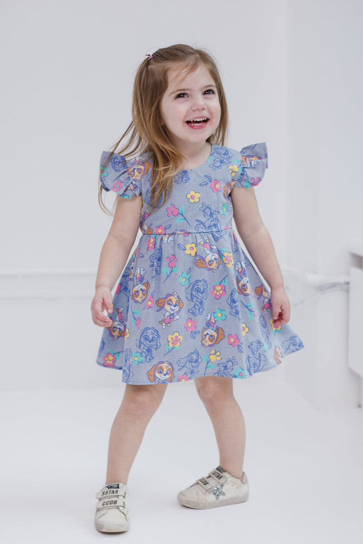 Paw Patrol Skye Sleeveless Chambray Dress