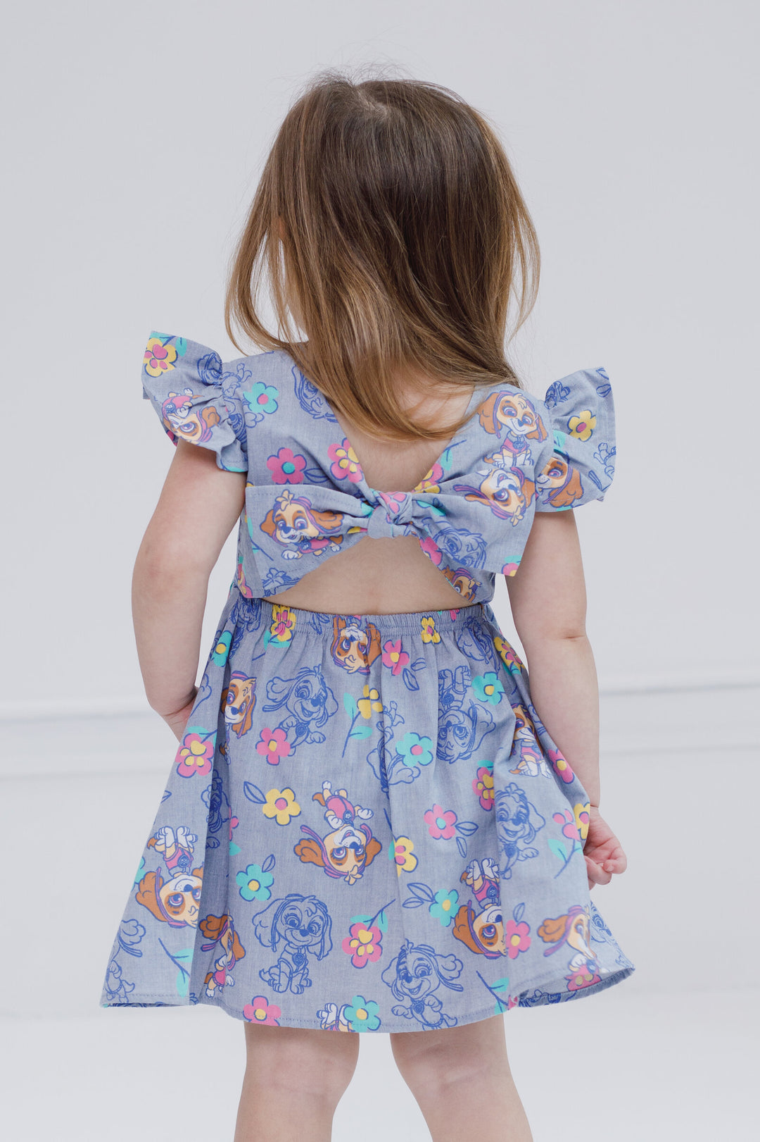 Paw Patrol Skye Sleeveless Chambray Dress