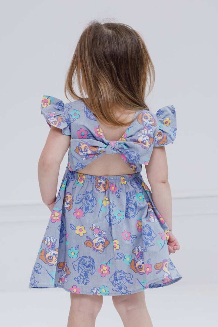 Paw Patrol Skye Sleeveless Chambray Dress