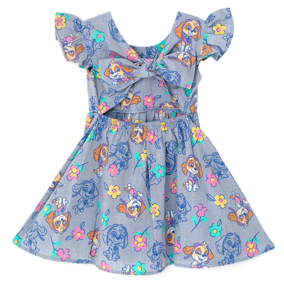 Paw Patrol Skye Sleeveless Chambray Dress