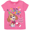 Paw Patrol Skye Birthday T-Shirt