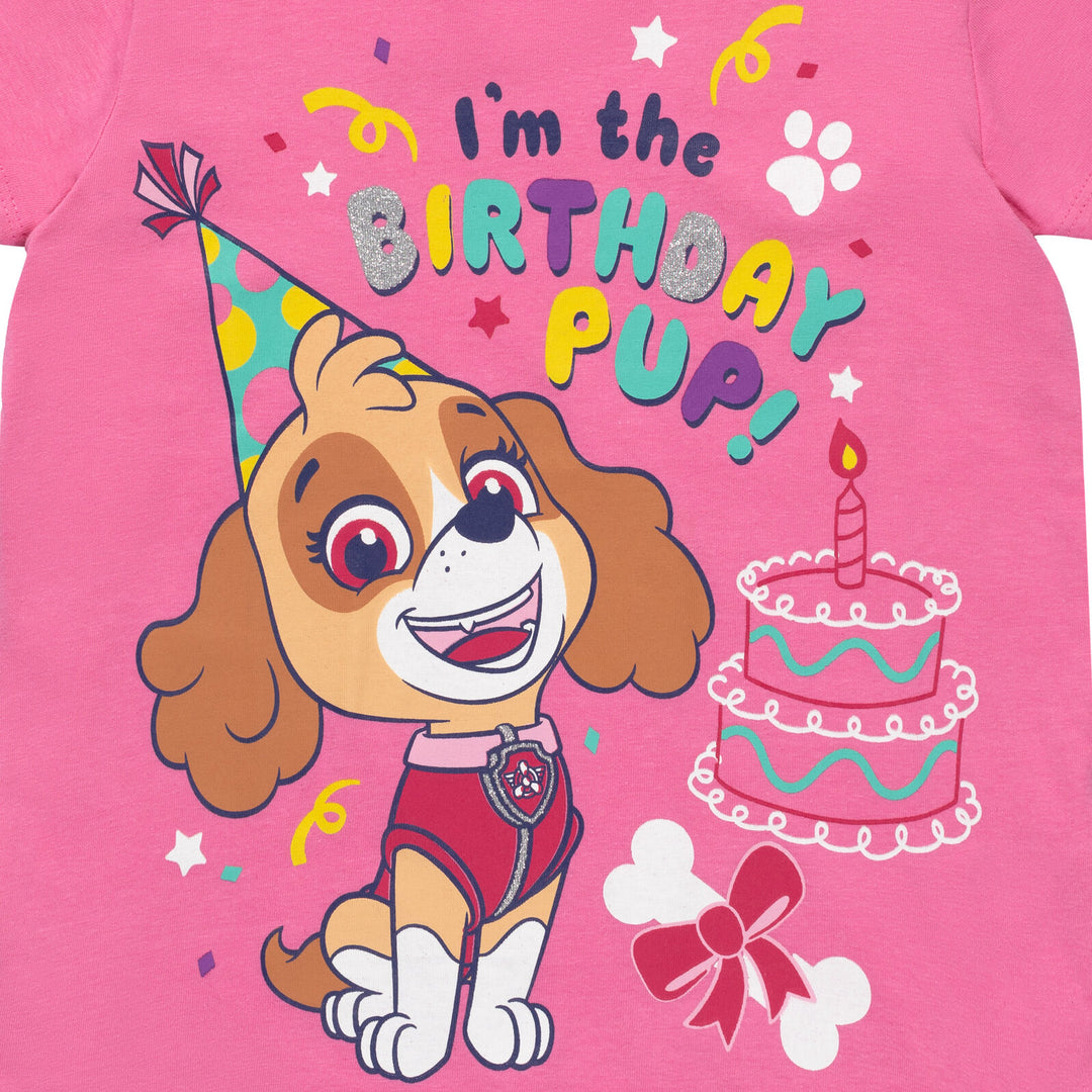 Paw Patrol Skye Birthday T-Shirt