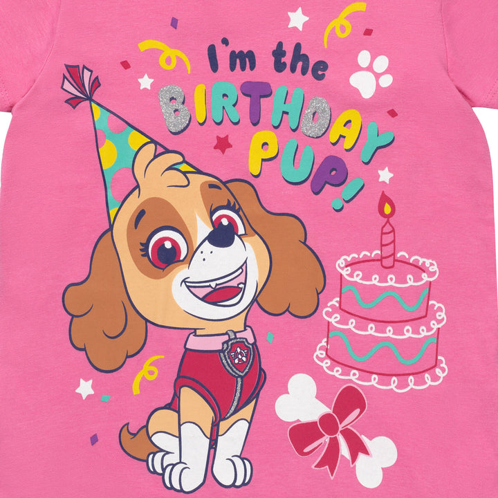 Paw Patrol Skye Birthday T-Shirt