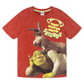 Shrek Drop Shoulder T-Shirt