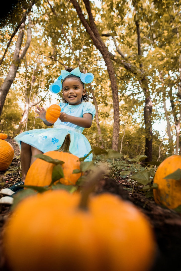 Blue's Clues & You! Costume Dress and Headband - imagikids